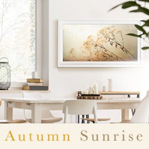 Autumn Sunrise