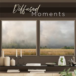 April 2022 - Diffused Moments