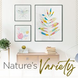 February 2023 - Nature's Variety