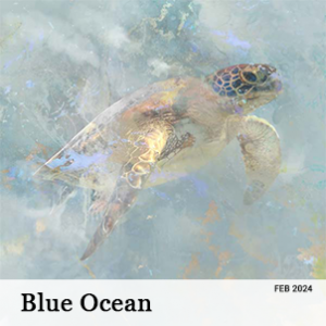 February 2024 - Blue Ocean