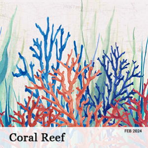 February 2024 - Coral Reef