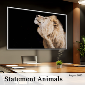 August 2025 - Statement Animals