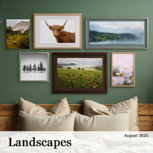 August 2025 - Landscapes