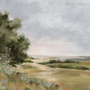 November 2025 New Release