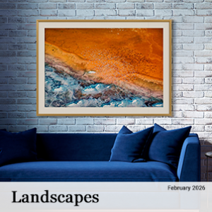 February 2026 - Landscapes