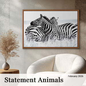 February 2026 - Statement Animals