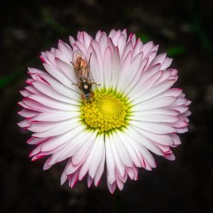 February 2026 New Release